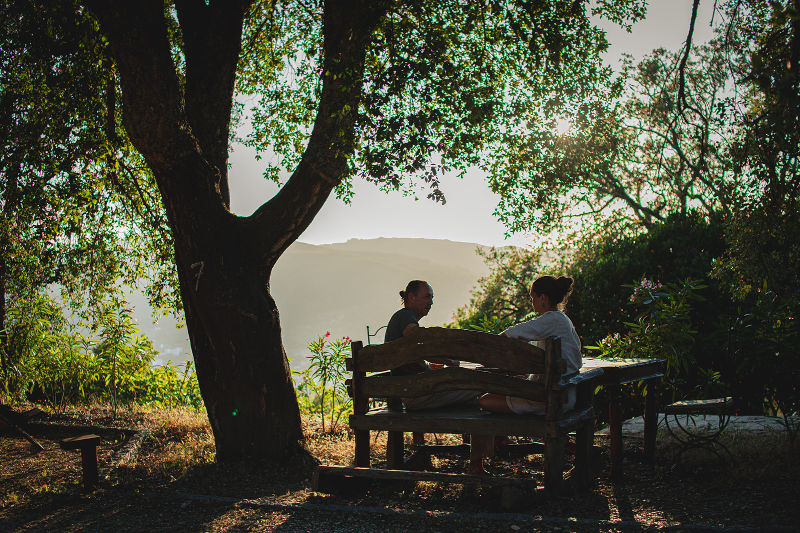 Two guests seated at a rustic wooden table under a tree at golden hour, hills visible beyond