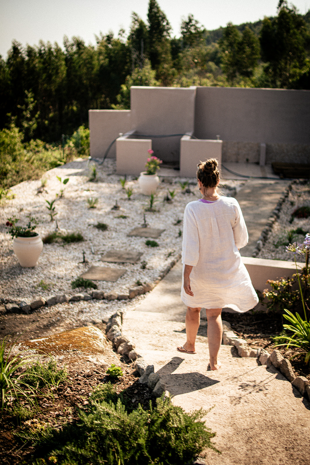 Landscaped gardens and stone paths at Bodhi Bhavan